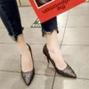 Women Crystal Pointed Heels